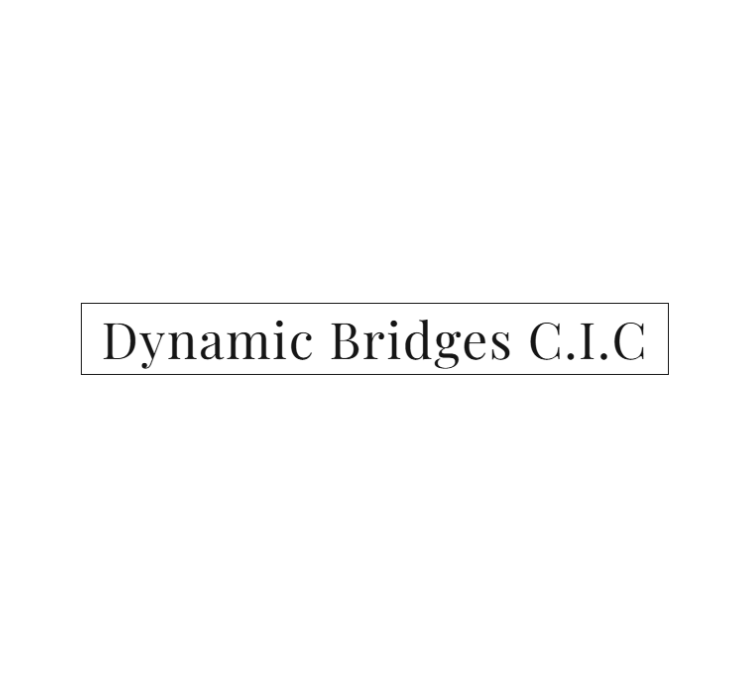 Dynamic Bridges CIC